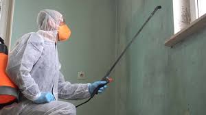 Best Asbestos and Lead Testing During Mold Inspection in Exeter, CA