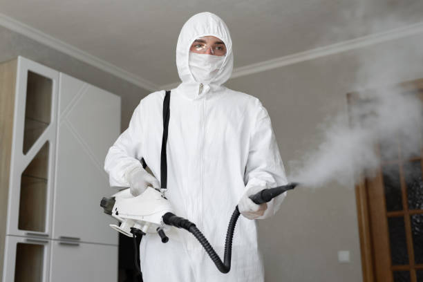 Best Attic Mold Removal in Exeter, CA