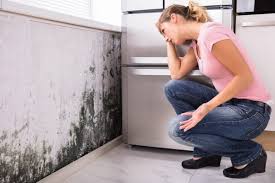 Best Emergency Mold Remediation in Exeter, CA